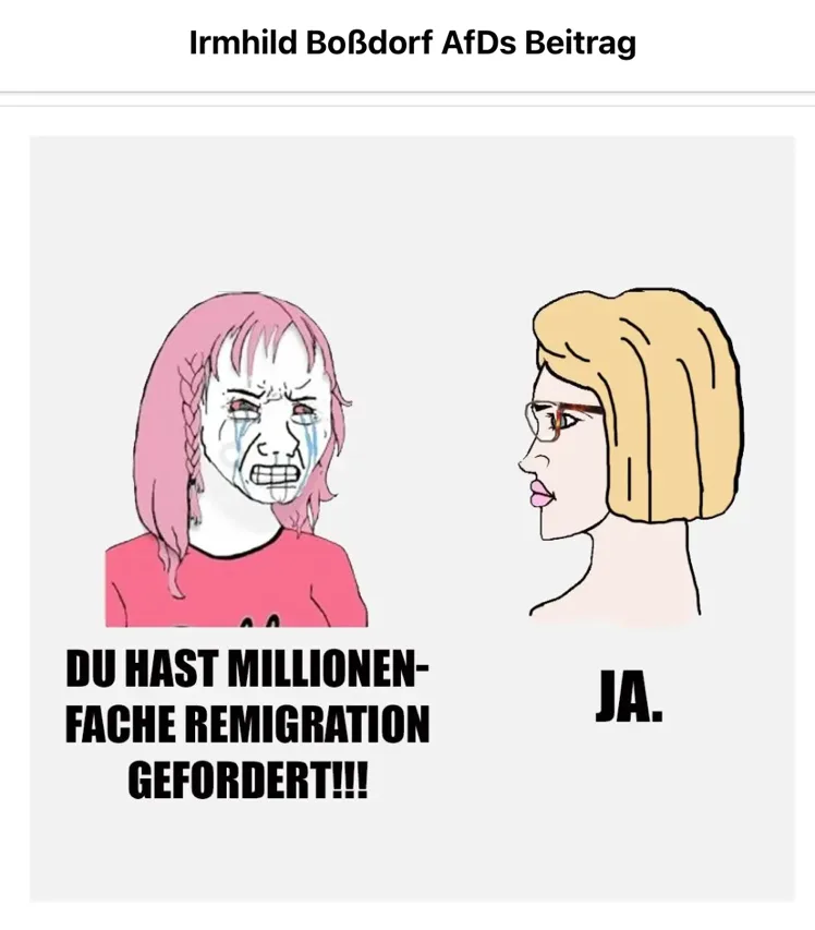 Irmhild Boßdorf AfDs Beitrag darunter eine karikatur einer wütend weinenden person mit rosa haaren und einem rosa tshirt worunter steht „du hast millionenfache remigration gefordert!!!" und daneben ist eine blonde frau mit brille gezeichnet unter der steht „ja."