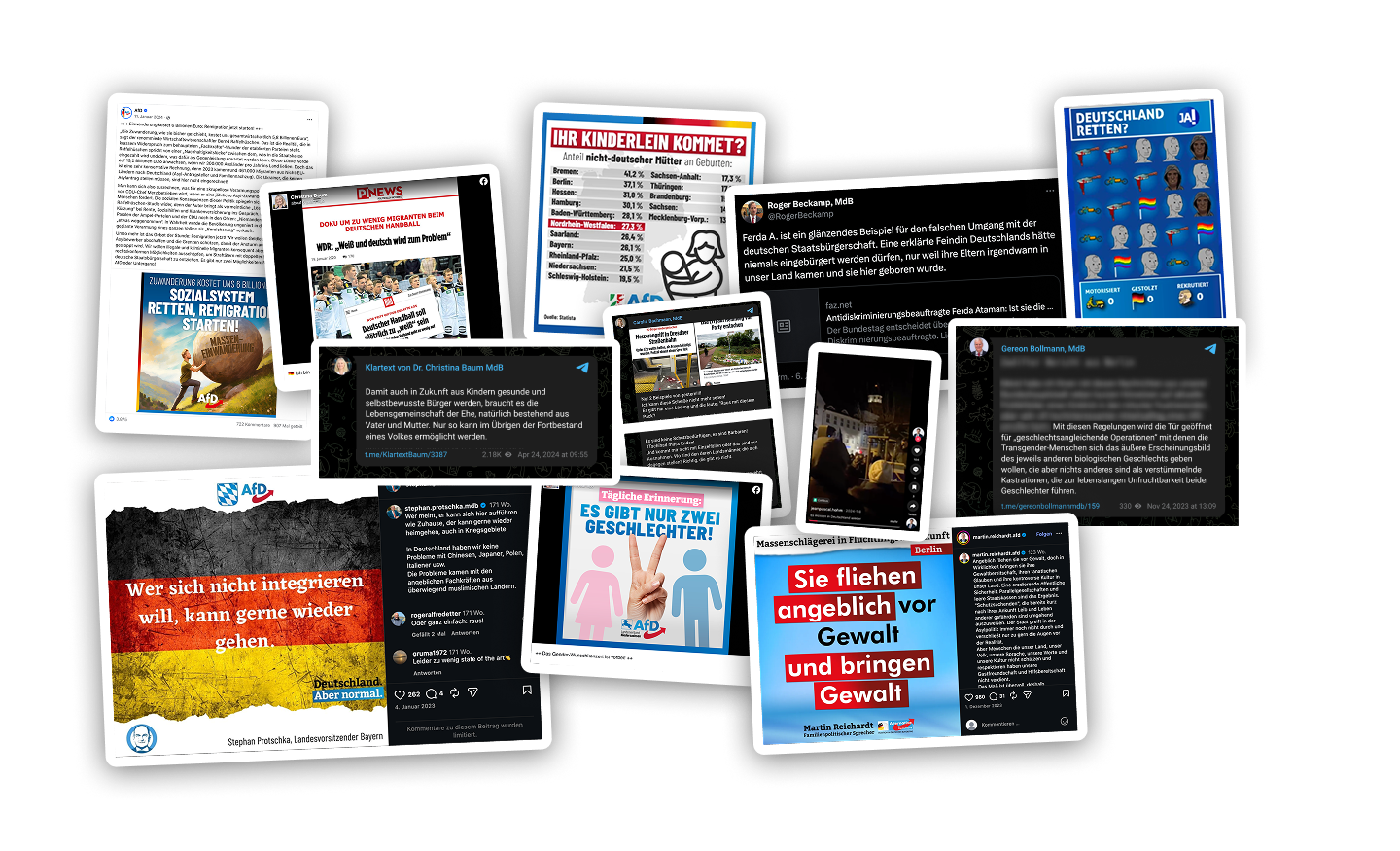 Collage aus verschiedenen Belegen zur Verfassungswidrigkeit der AfD